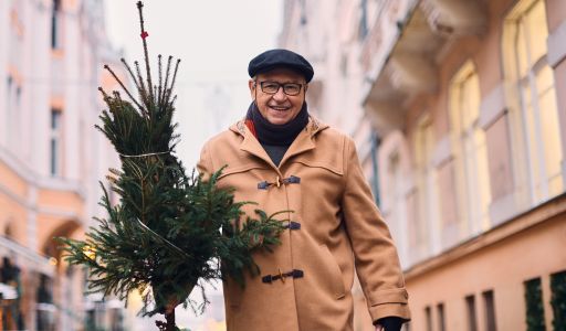 Hogyan válasszuk ki az ideális fenyőt karácsonyra? – Útmutató a tökéletes ünnepi fa megtalálásához