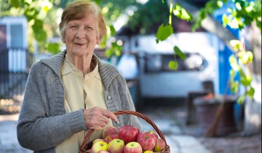Ideális étrend időseknek – Óvd meg egészségedet finom ételekkel!