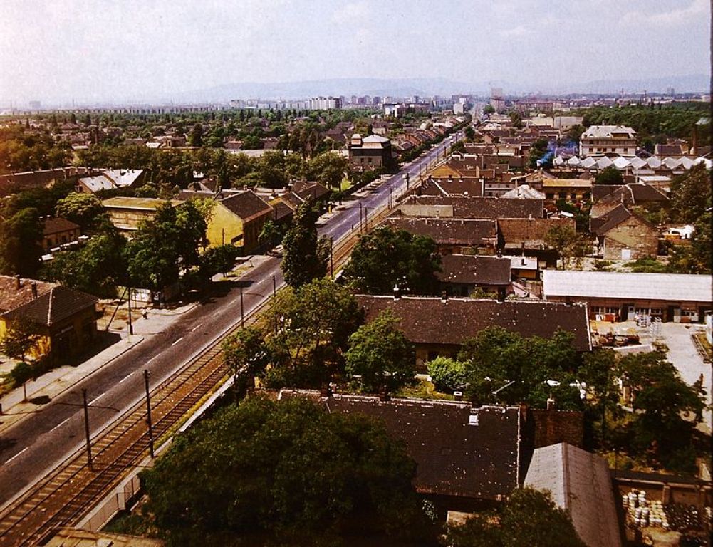 Kispest díszpolgára dr. Drenyovszky Irén ODAADÓ